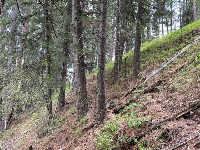 375 Healer Rd, Hamilton, MT 59840