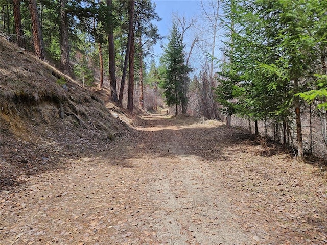 375 Healer Rd, Hamilton, MT 59840