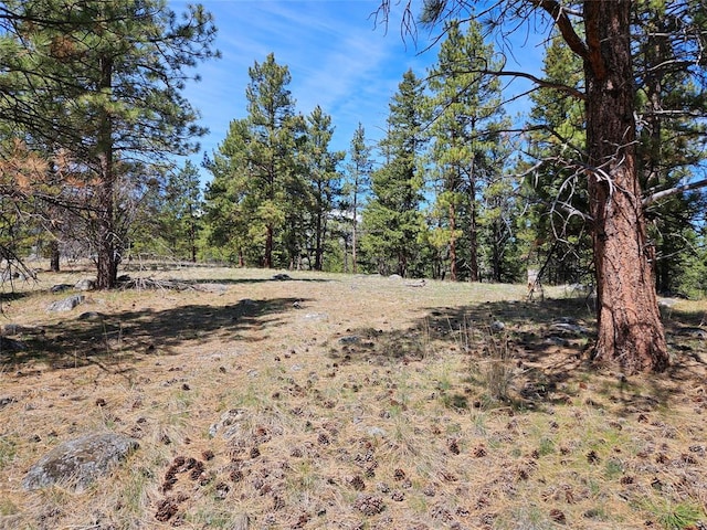 375 Healer Rd, Hamilton, MT 59840