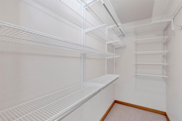 303 Wyant Ln, Hamilton, MT 59840 - spacious closet with light carpet