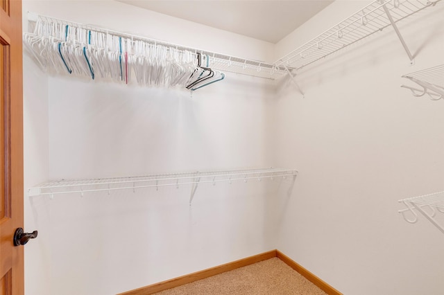 303 Wyant Ln, Hamilton, MT 59840 - spacious closet featuring light colored carpet