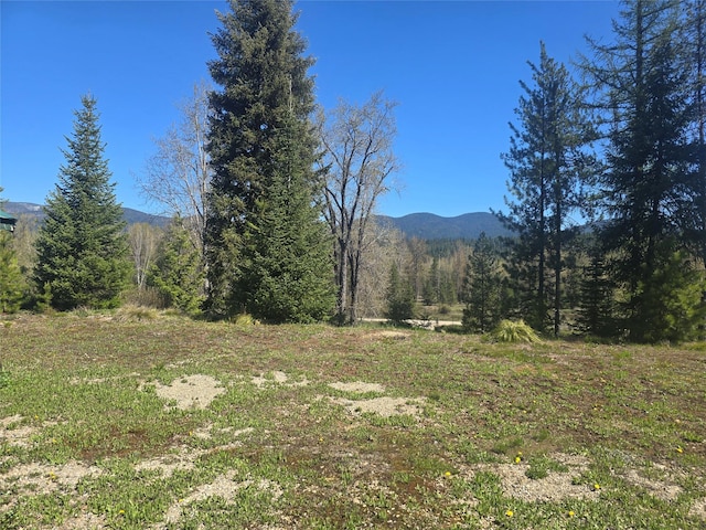 view of mountain background with a heavily wooded area