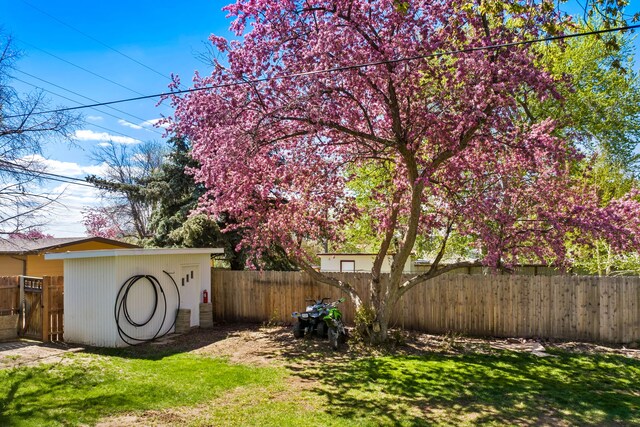3024 8th Ave S, Great Falls, MT 59405 - view of yard featuring an outbuilding and a storage unit