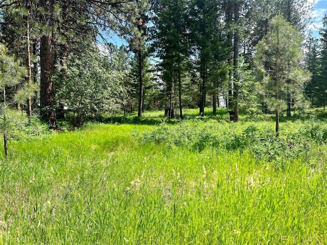 LOT17 Meadow Rd, Polson, MT 59860