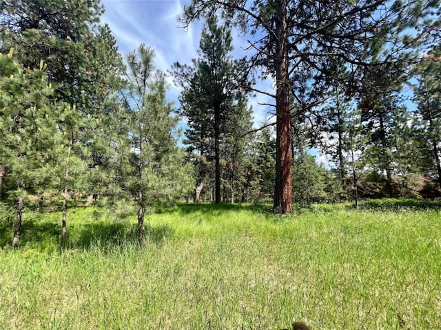 LOT17 Meadow Rd, Polson, MT 59860