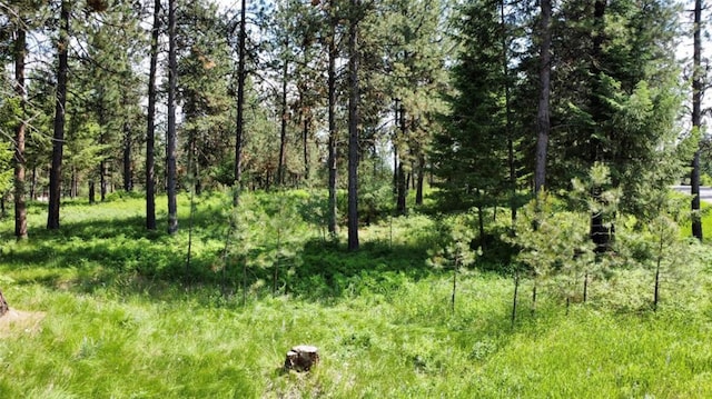 LOT17 Meadow Rd, Polson, MT 59860