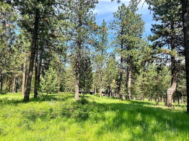 LOT17 Meadow Rd, Polson, MT 59860