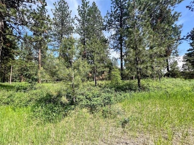 LOT17 Meadow Rd, Polson, MT 59860