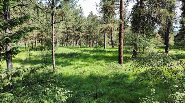 LOT17 Meadow Rd, Polson, MT 59860