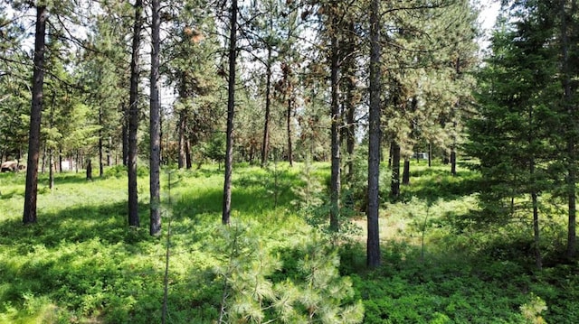 LOT17 Meadow Rd, Polson, MT 59860