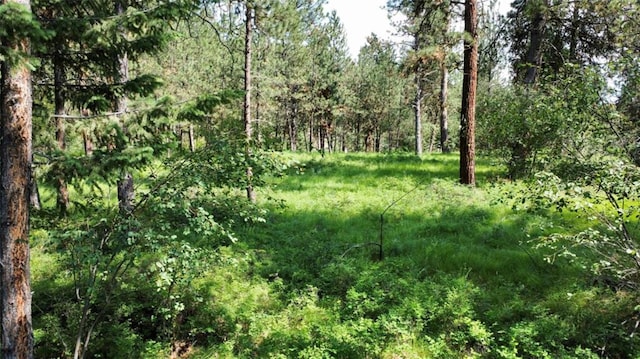 LOT17 Meadow Rd, Polson, MT 59860