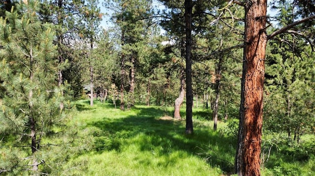 LOT17 Meadow Rd, Polson, MT 59860