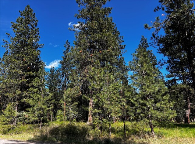 LOT17 Meadow Rd, Polson, MT 59860