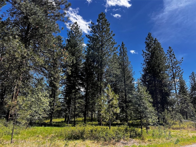 LOT17 Meadow Rd, Polson, MT 59860