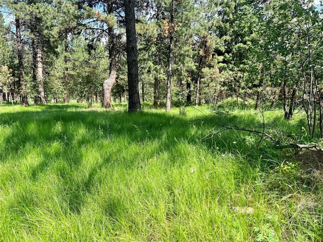 LOT17 Meadow Rd, Polson, MT 59860