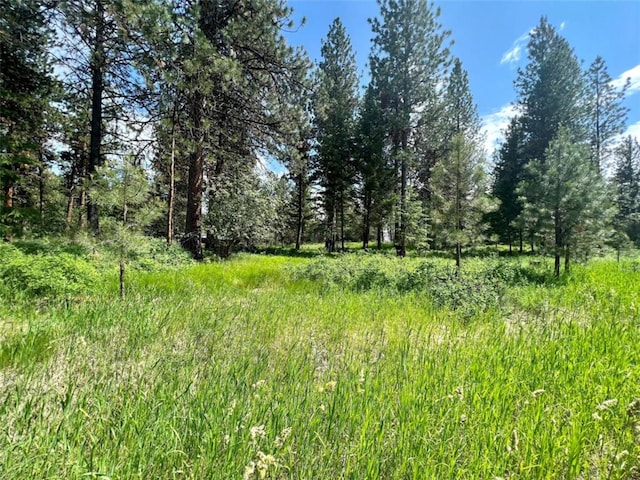 LOT17 Meadow Rd, Polson, MT 59860