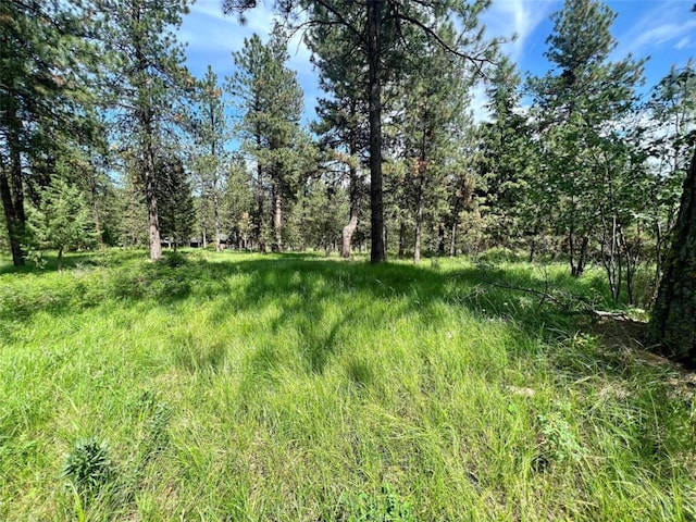 LOT17 Meadow Rd, Polson, MT 59860