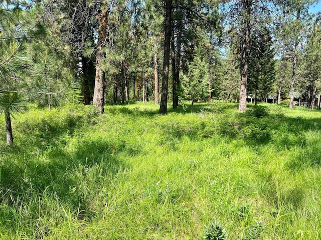 LOT17 Meadow Rd, Polson, MT 59860
