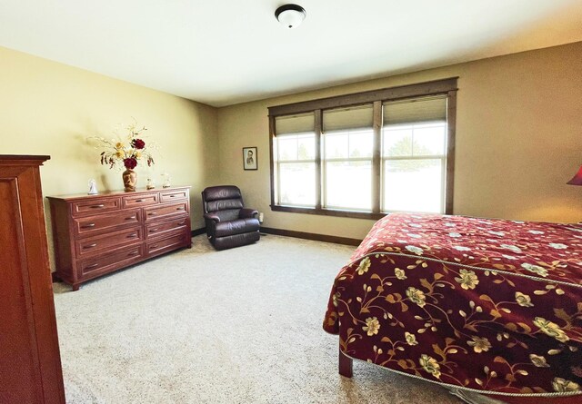 4195 Fox Hollow Dr, Helena, MT 59602 - carpeted bedroom with baseboards