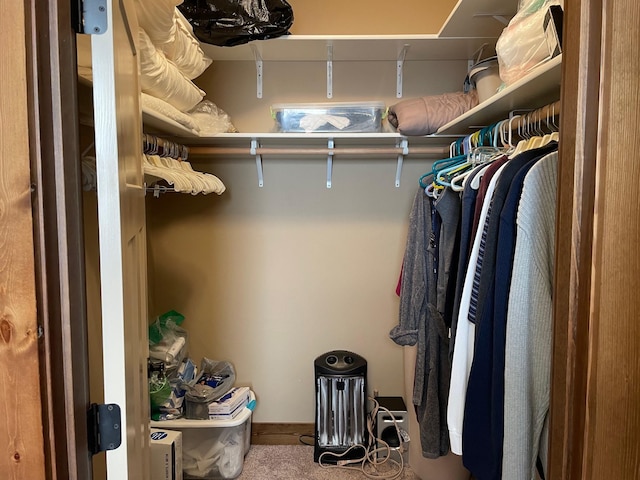 4195 Fox Hollow Dr, Helena, MT 59602 - view of spacious closet