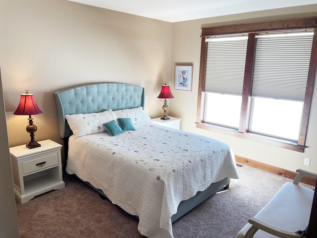 4195 Fox Hollow Dr, Helena, MT 59602 - view of carpeted bedroom