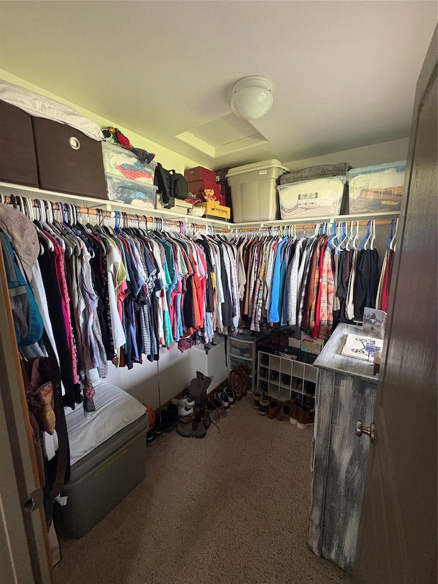 72822 Joes Ln, Arlee, MT 59821 - spacious closet featuring carpet