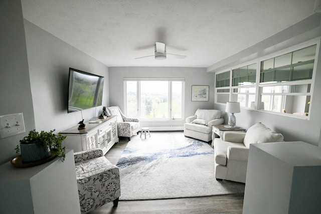 1536 Meadowlark Dr Unit 10B, Great Falls, MT 59404 - living area featuring wood finished floors and a ceiling fan