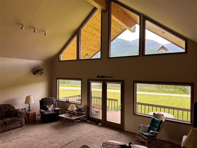 living room featuring carpet flooring and high vaulted ceiling