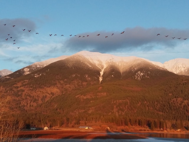 view of mountain backdrop with a forest