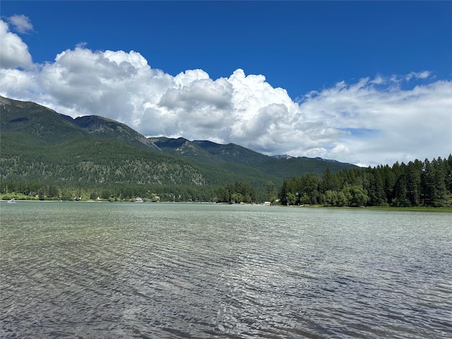 water view with a mountainous background and a forest