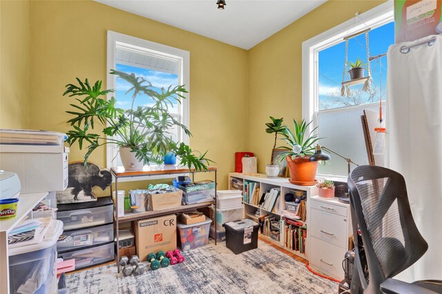 500 34th St NW, Great Falls, MT 59404 - office with plenty of natural light