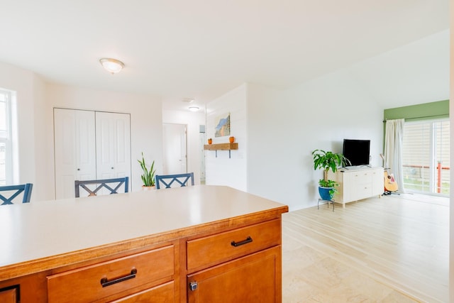 kitchen with open floor plan, light countertops, and plenty of natural light