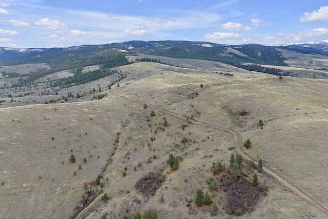 LOT1 Reed Butte Rd, Stevensville, MT 59870