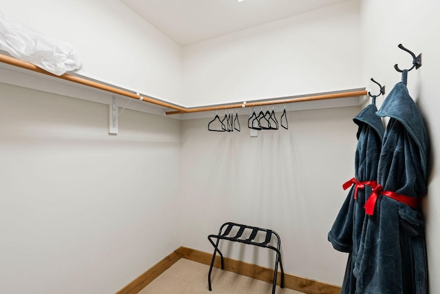view of walk in closet