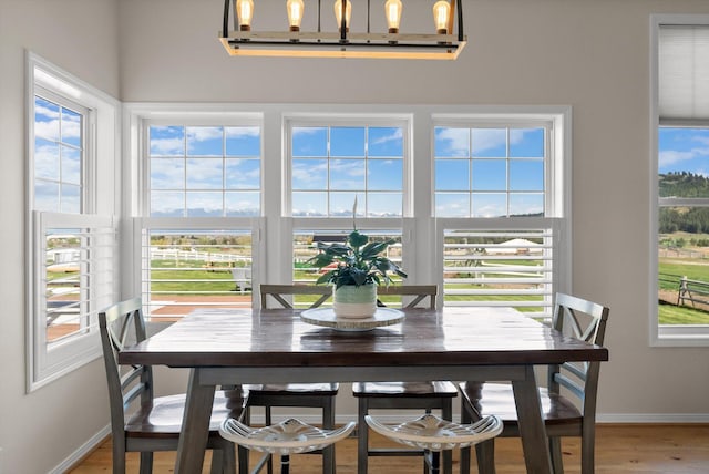 58 Morning View Way, Kalispell, MT 59901 - dining room with healthy amount of natural light, baseboards, and light wood-style floors