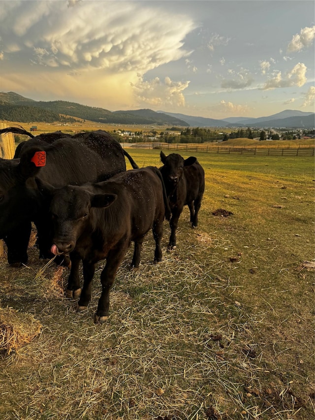58 Morning View Way, Kalispell, MT 59901 - stable with a mountain view and a rural view