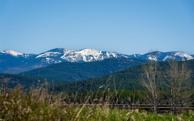 5550 Farm To Market Rd, Whitefish, MT 59937 - view of mountain backdrop with a heavily wooded area