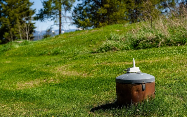 5550 Farm To Market Rd, Whitefish, MT 59937 - view of yard