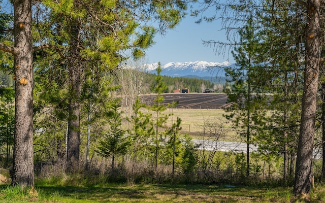5550 Farm To Market Rd, Whitefish, MT 59937 - view of mountain backdrop with rural landscape