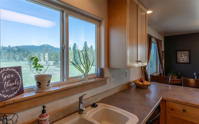 5550 Farm To Market Rd, Whitefish, MT 59937 - kitchen with a sink, a mountain view, and black dishwasher
