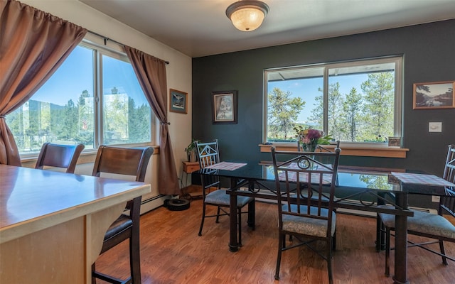 5550 Farm To Market Rd, Whitefish, MT 59937 - dining space featuring healthy amount of natural light and wood finished floors