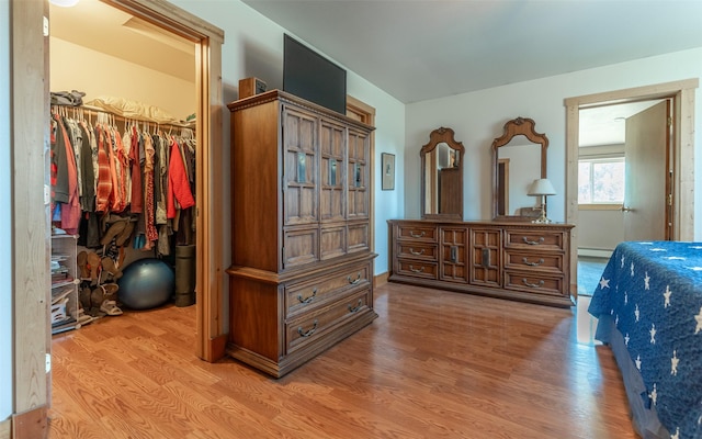 5550 Farm To Market Rd, Whitefish, MT 59937 - bedroom with a baseboard radiator, light wood-style flooring, a closet, and a walk in closet