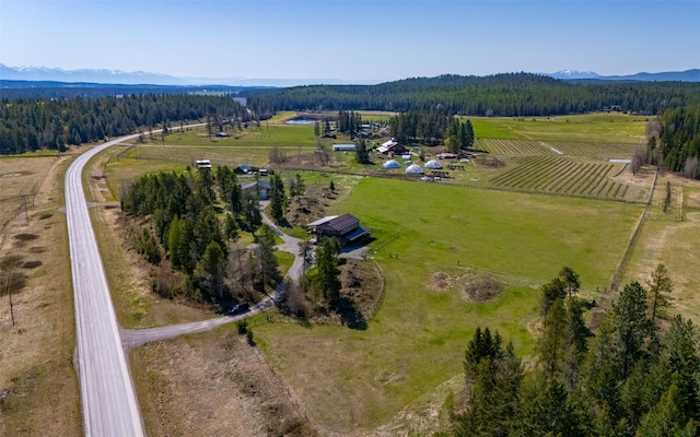 5550 Farm To Market Rd, Whitefish, MT 59937 - overview of rural landscape with a forest and mountains