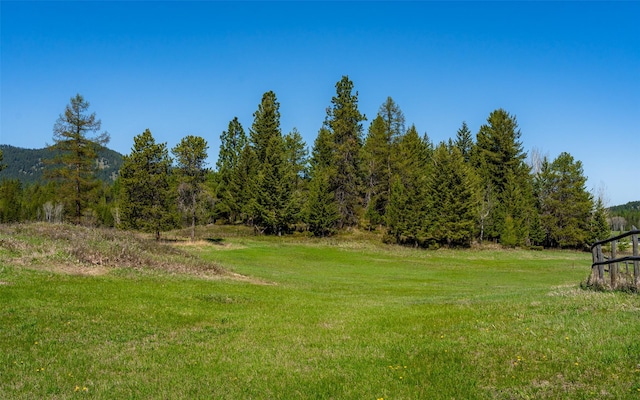 5550 Farm To Market Rd, Whitefish, MT 59937 - view of green lawn with a wooded view