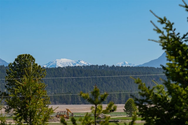 5550 Farm To Market Rd, Whitefish, MT 59937 - view of mountain background with a forest
