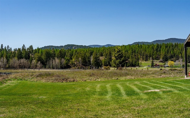 5550 Farm To Market Rd, Whitefish, MT 59937 - mountain view with a forest