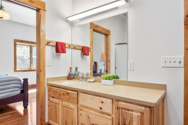 bathroom with vanity and wood finished floors