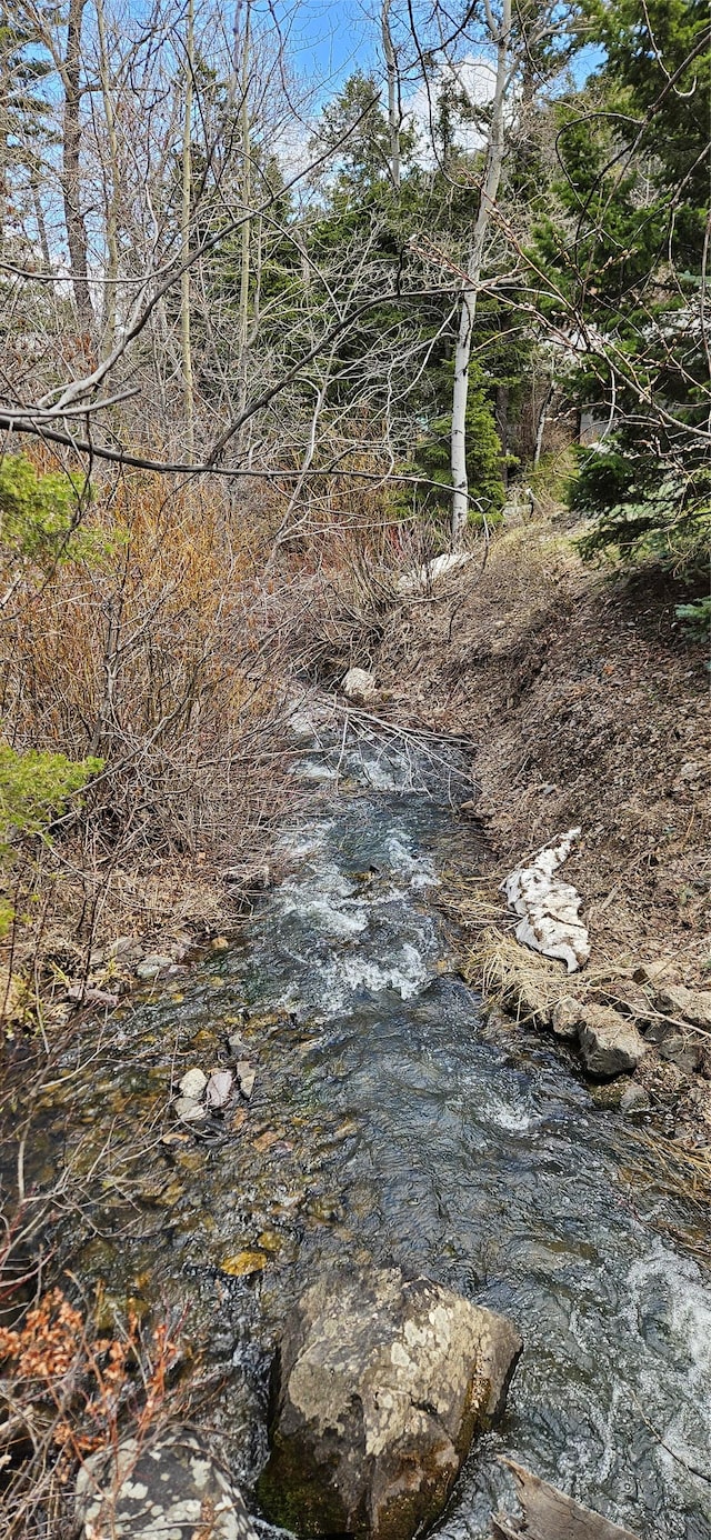 11169 Stemple Pass Rd, Lincoln, MT 59639 - view of nature