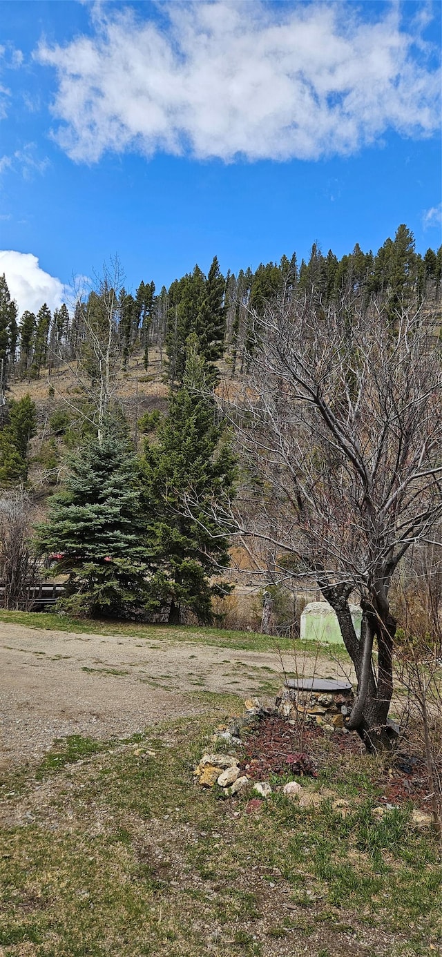 11169 Stemple Pass Rd, Lincoln, MT 59639 - view of yard