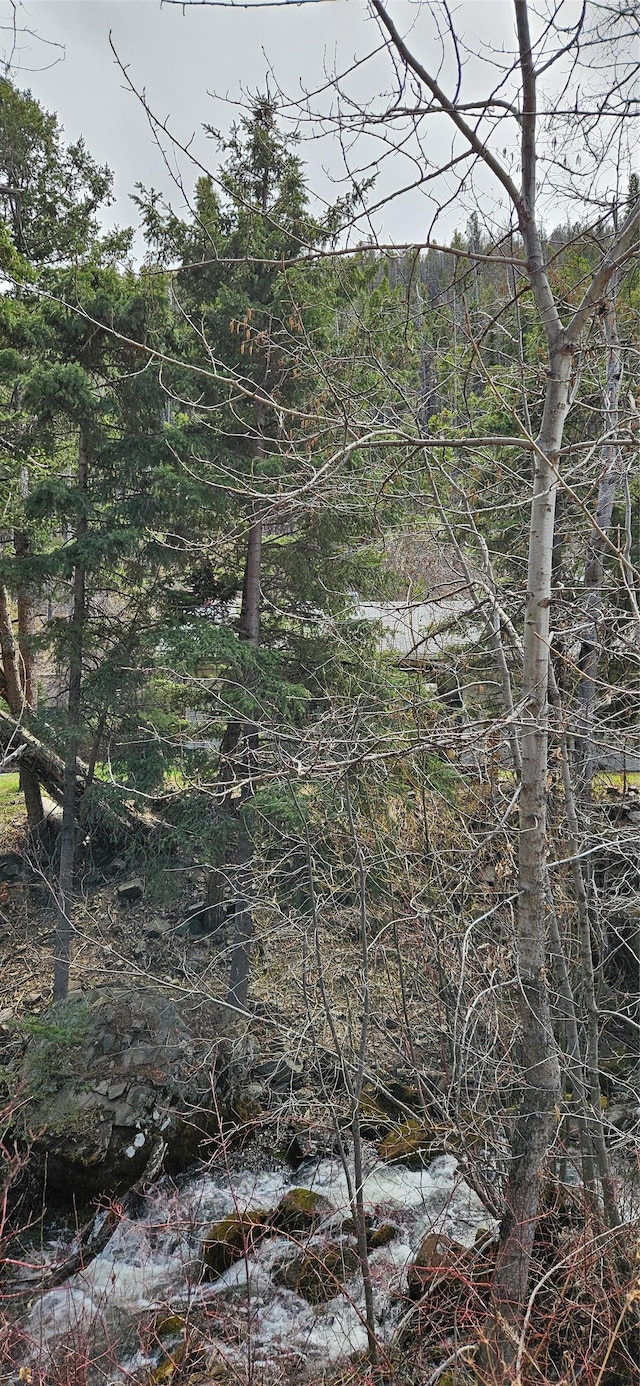 11169 Stemple Pass Rd, Lincoln, MT 59639 - view of nature